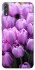 Чехол на Huawei Honor 8X Фиолетовые тюльпаны фото 1 из 1