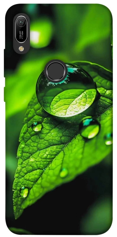 Чохол на Huawei Y6 (2019) Flowers v16 фото 1 з 1