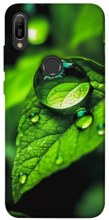 Чохол на Huawei Y6 (2019) Flowers v16 фото 1 з 1