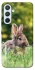 Чехол на Samsung Galaxy A54 5G Кролики фото 1 из 1