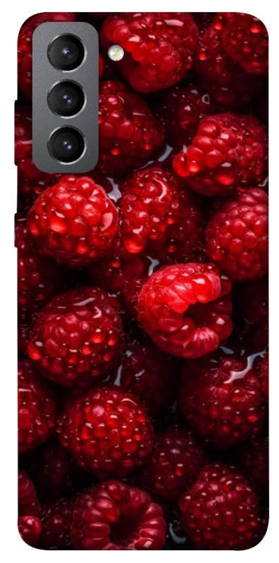 Чехол на Samsung Galaxy S21 FE Малинка фото 1 из 1