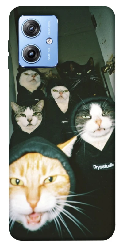 Чохол на Motorola Moto G84 Сatsss фото 1 з 1