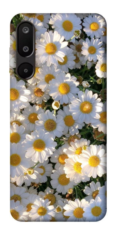 Чехол на Samsung Galaxy M16 5G Поле ромашек фото 1 из 1