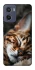 Чохол на Motorola Moto G05 Cat paws фото 1 з 1