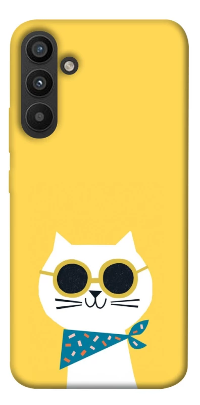 Чохол на Samsung Galaxy A34 5G Кіт-муркіт фото 1 з 1