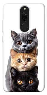 Чохол на Xiaomi Redmi 8 Гарні котики фото 1 з 1