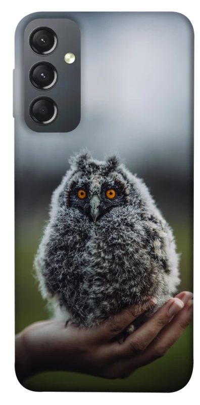 Чехол на Samsung Galaxy A24 4G Совёнок фото 1 из 1