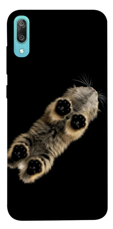 Чехол на Huawei Y6 Pro (2019) Cat фото 1 из 1