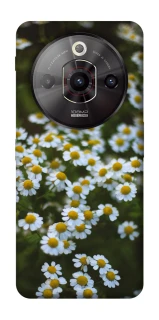 Чехол на ZTE Nubia Focus Pro Ромашки v13 фото 1 из 1