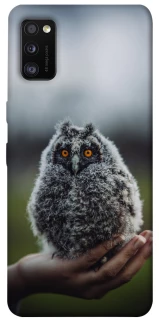 Чохол на Samsung Galaxy A41 Совеня фото 1 з 1