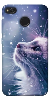 Чехол на Xiaomi Redmi 4X Snow cat фото 1 из 1