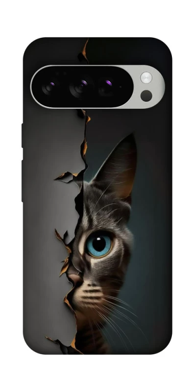 Чехол на Google Pixel 10 Pro Кот-подглядыватель v2 фото 1 из 1