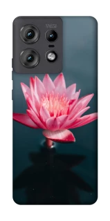 Чохол на Motorola Edge 50 Pro Лотос фото 1 з 1