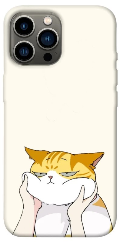 Чохол на Apple iPhone 12 Pro Max (6.7") Cat bun фото 1 з 1