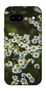 Чехол на Google Pixel 8a Ромашки v13 фото 1 из 1