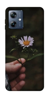 Чехол на Motorola Moto G54 Power Ромашка v4 фото 1 из 1