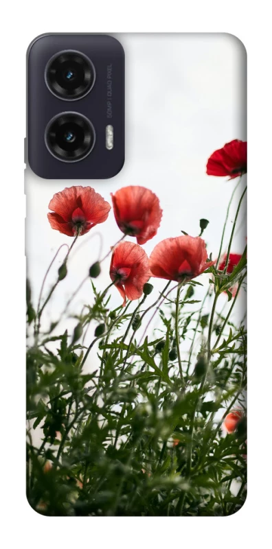 Чохол на Motorola Moto G35 Поле маків фото 1 з 1
