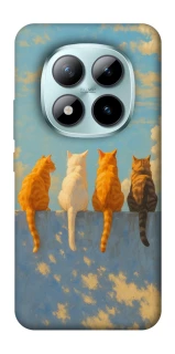 Чехол на Xiaomi Redmi Note 15 Pro+ 5G cats on wall фото 1 Чехол на Xiaomi Redmi Note 15 Pro+ 5G cats on wall фото 1 из 1