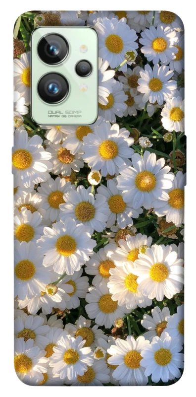 Чехол на Realme GT2 Поле ромашек фото 1 из 1