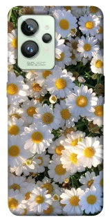 Чохол на Realme GT2 Поле ромашок фото 1 з 1