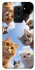 Чохол на Xiaomi Redmi Note 9 / Redmi 10X Cats фото 1 з 1