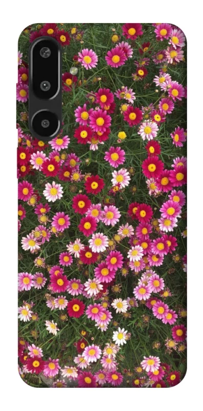Чохол на Samsung Galaxy F16 Flowers v8 фото 1 з 1