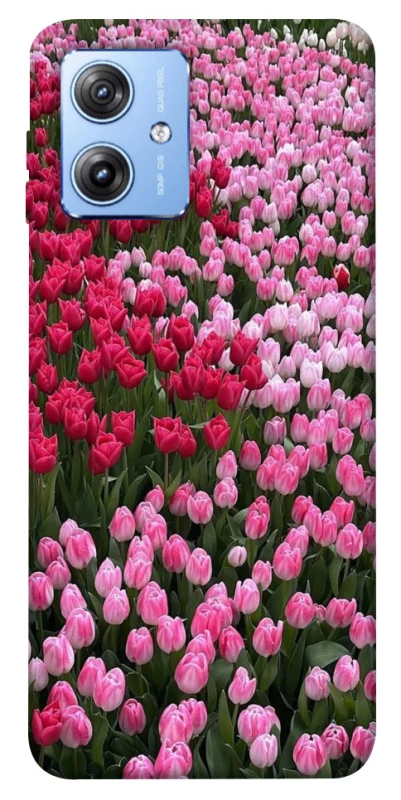 Чохол на Motorola Moto G84 Flowers v9 фото 1 з 1