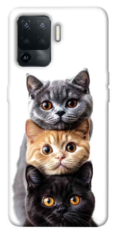 Чохол на Oppo Reno 5 Lite Гарні котики фото 1 з 1