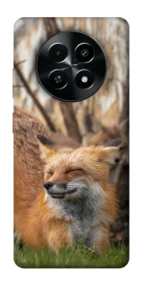 Чехол на Realme Narzo 70x Лиса фото 1 из 1