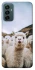 Чохол на Samsung Galaxy M13 4G Лама фото 1 з 1