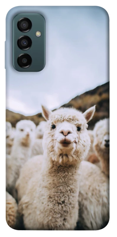 Чехол на Samsung Galaxy M23 5G Лама фото 1 из 1