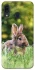 Чехол на Samsung Galaxy A20 / A30 Кролики фото 1 из 1