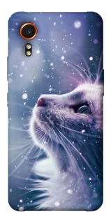 Чехол на Samsung Galaxy Xcover7 Snow cat фото 1 из 1