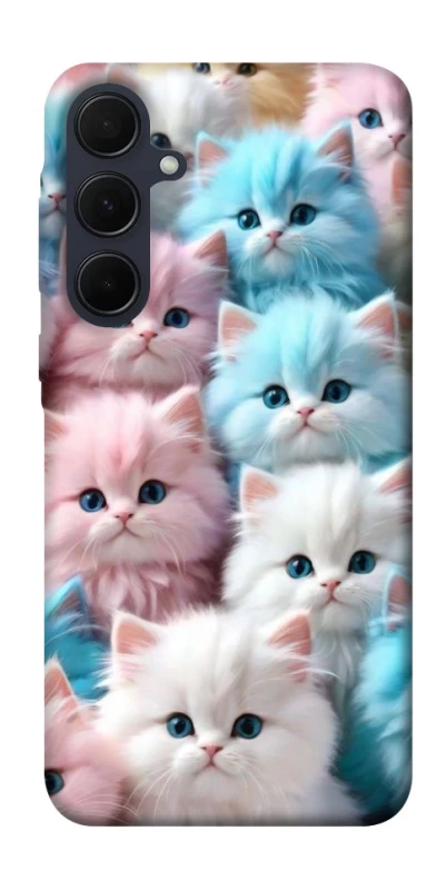 Чохол на Samsung Galaxy A55 Kittie Love фото 1 з 1