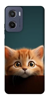 Чохол на Motorola Moto E15 Чохол Кошеня фото 1 з 1