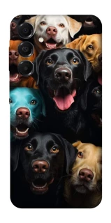 Чехол на Samsung Galaxy A17 4G/5G Собаки фото 1 из 1