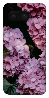 Чехол на Google Pixel 8 Розовые гартензии фото 1 из 1