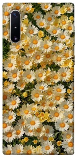 Чохол на Samsung Galaxy Note 10 Camomile фото 1 з 1