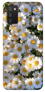 Чехол на Samsung Galaxy A03s Поле ромашек фото 1 из 1