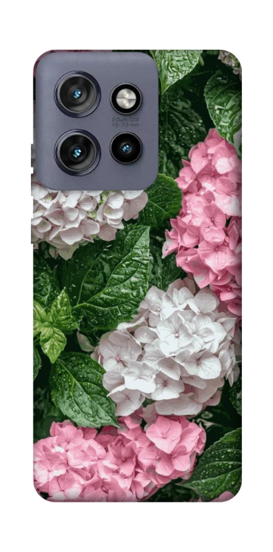 Чохол на Motorola Edge 50 Neo Secret Garden фото 1 з 1