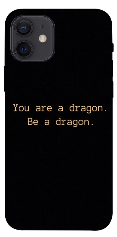 Чехол на Apple iPhone 12 (6.1") House of the Dragon ver.9 фото 1 из 1