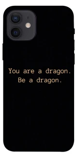 Чехол на Apple iPhone 12 (6.1") House of the Dragon ver.9 фото 1 из 1
