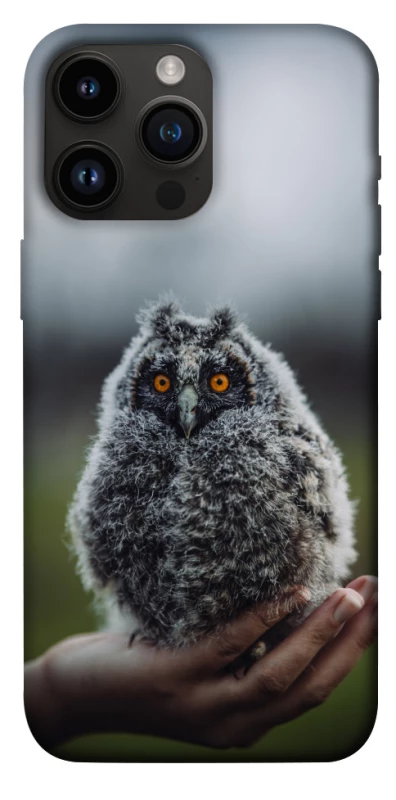 Чохол на Apple iPhone 14 Pro Max (6.7") Совеня фото 1 з 1