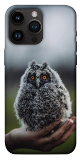Чехол на Apple iPhone 14 Pro Max (6.7") Совёнок фото 1 из 1