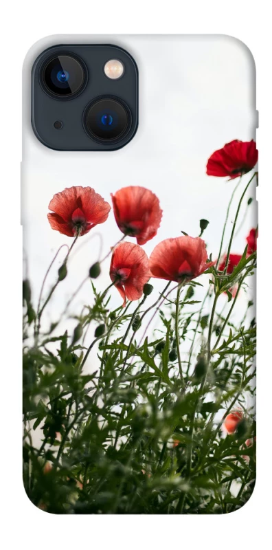Чохол на Apple iPhone 13 mini (5.4") Поле маків фото 1 з 1