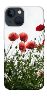 Чохол на Apple iPhone 13 mini (5.4") Поле маків фото 1 з 1
