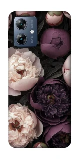 Чохол на Motorola Moto G54 Power Heart of a Flower фото 1 з 1