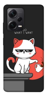Чохол на Xiaomi Redmi Note 12 Pro+ 5G I do what i wont фото 1 з 1