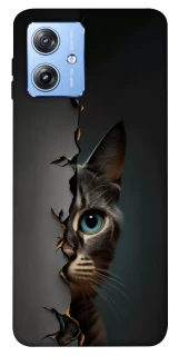 Чехол на Motorola Moto G84 Кот-подглядыватель v2 фото 1 из 1