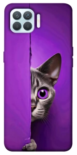 Чохол на Oppo F17 Pro Кіт-підглядач фото 1 з 1